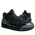 Air Jordan 3 Black Cat