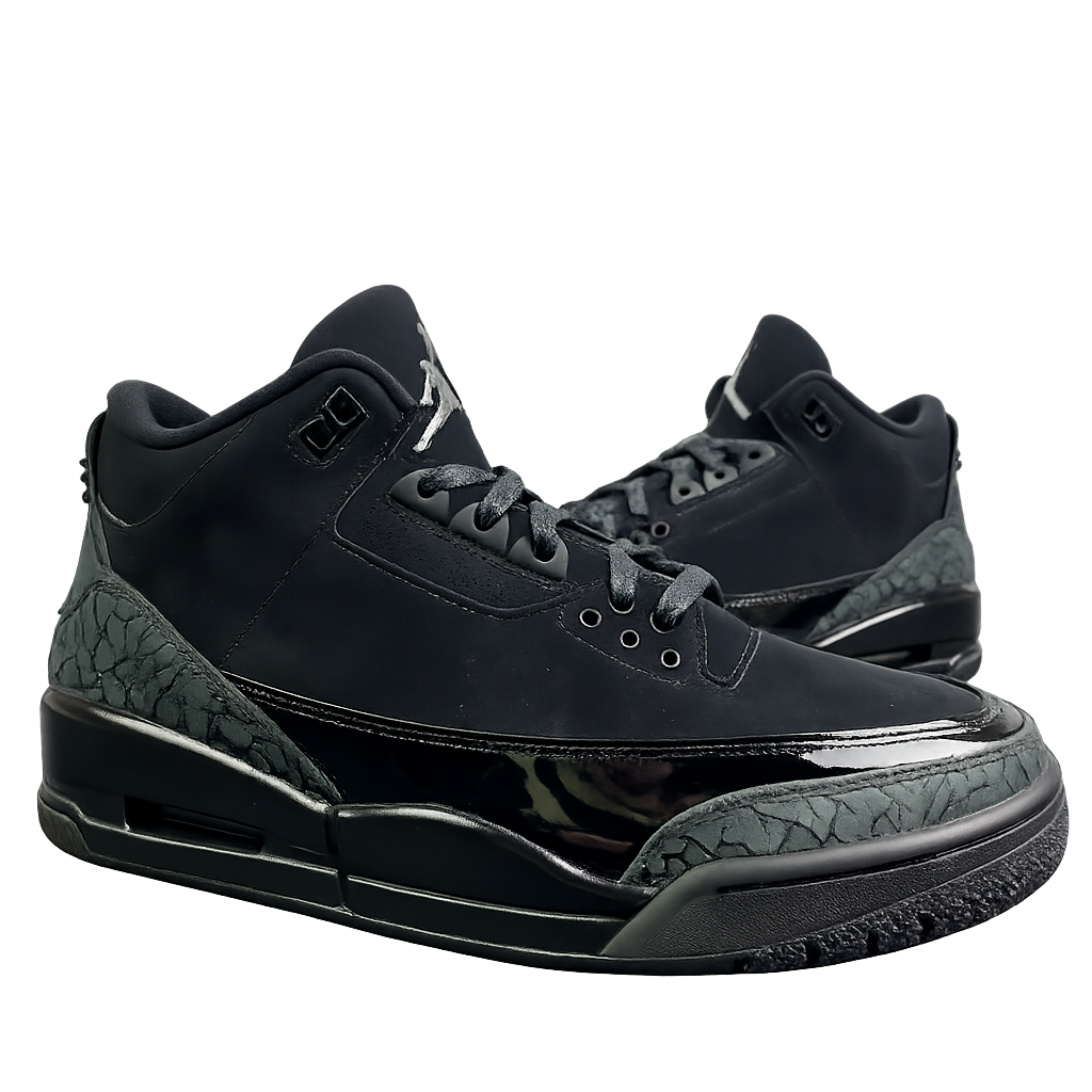 Air Jordan 3 Black Cat